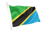 Tanzania Flag