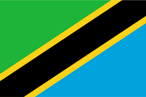 Tanzania Flag