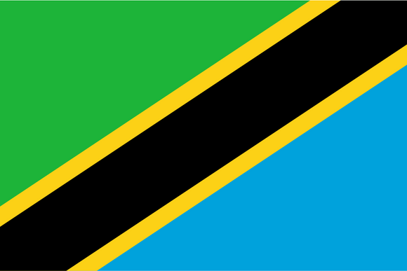 Tanzania Flag