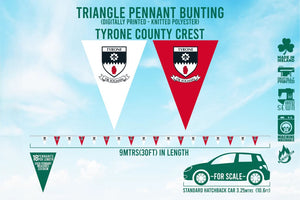 Tyrone County Bunting