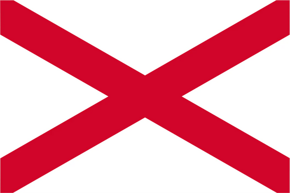 VICTOR Code Flag V