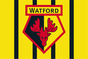 Watford Football Club Flag