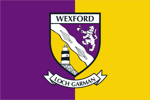 Wexford County Crest Handwaver Flag