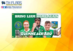 Limerick Hurling "Customised"  Cian, Diarmaid & Aaron