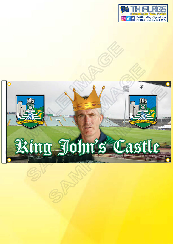 King Johns Castle