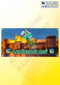 Limerick Hurling "Aaron and the Castle"