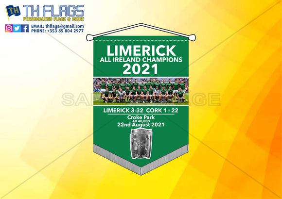Limerick All Ireland Hurling Winners 2021
