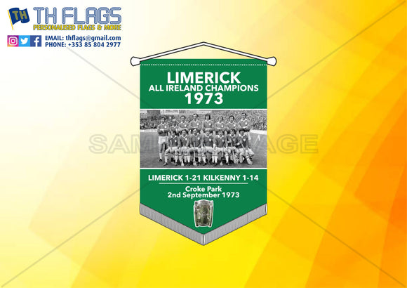 Limerick All Ireland Hurling Winners 1973