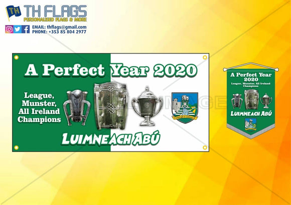 Limerick All Ireland Hurling Winners 2020 A Perfect Year