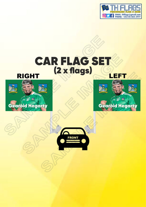 Gearoid Hegarty Car Flags