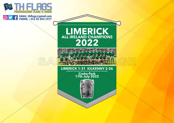 Limerick All Ireland Hurling Winner 22