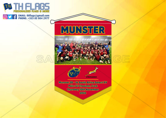Munster V South Africa Select VX
